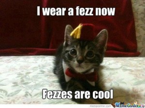fez_kitten